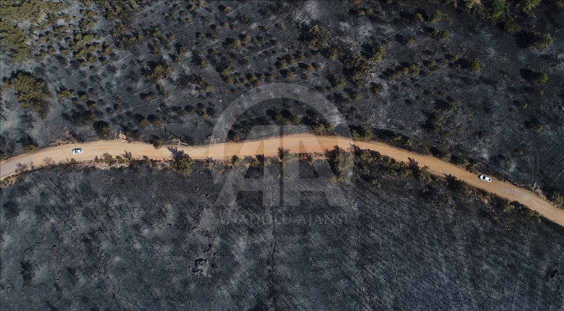 Drone photos show Turkey's Ayvalik fire damage