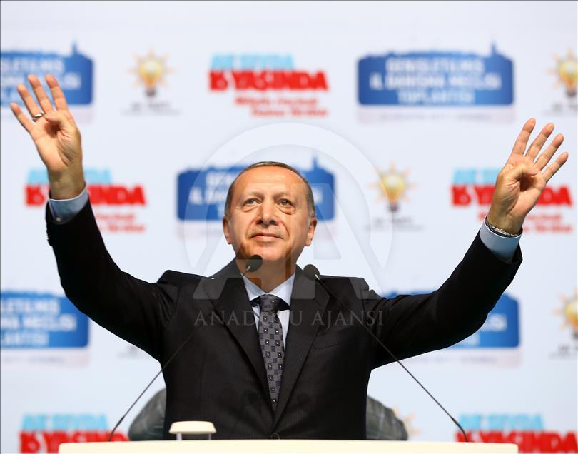 Erdogan aux Turcs d’Allemagne : Ne votez pas pour les partis hostiles à la Turquie 