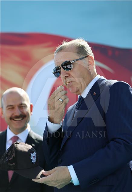 رجب طیب اردوغان، رئیس جمهور ترکیه