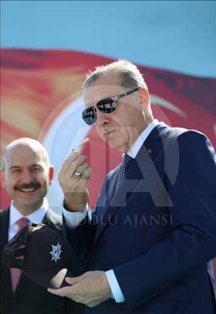 رجب طیب اردوغان، رئیس جمهور ترکیه