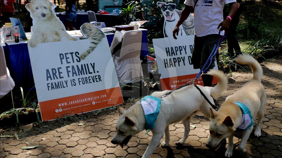 Paw Day: Hari anjing bersosialisasi