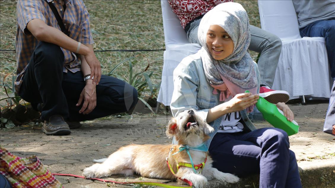 Paw Day: Hari anjing bersosialisasi