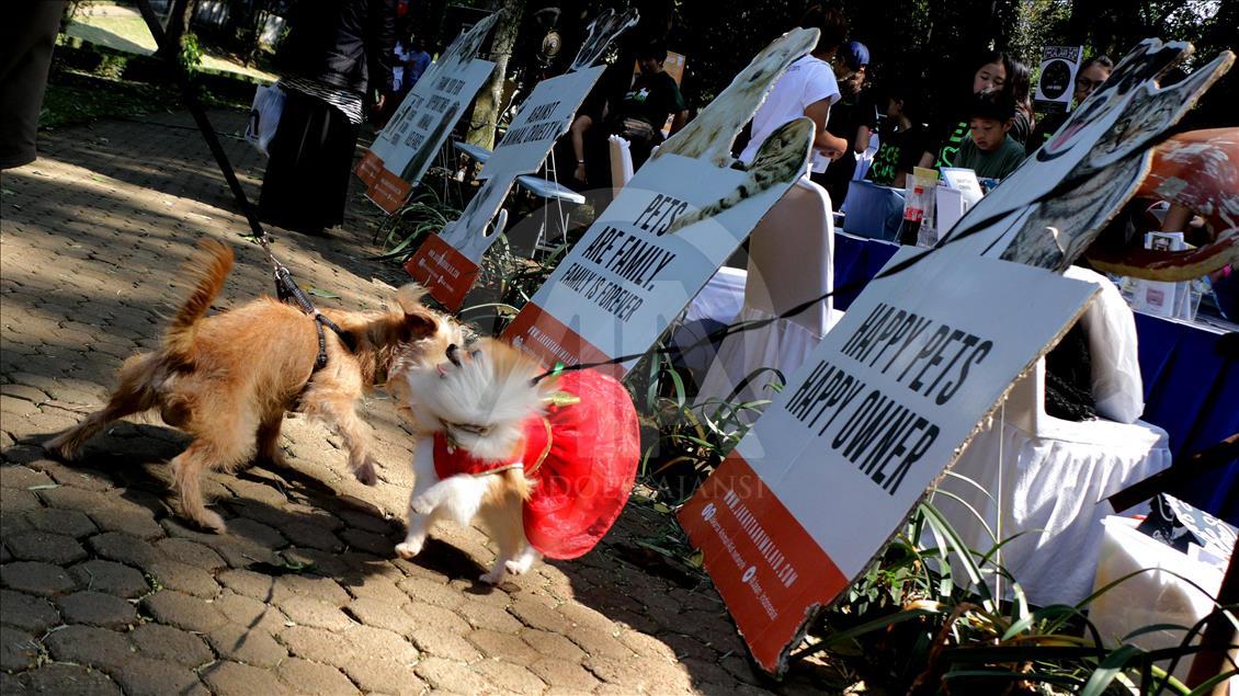 Paw Day: Hari anjing bersosialisasi