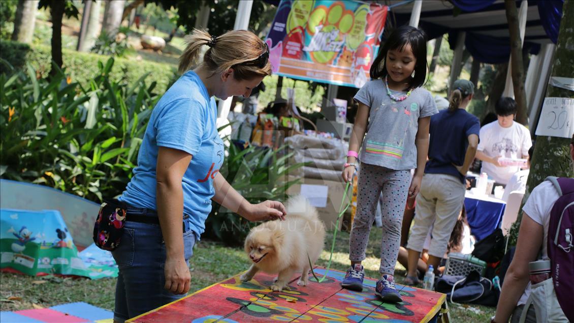 Paw Day: Hari anjing bersosialisasi
