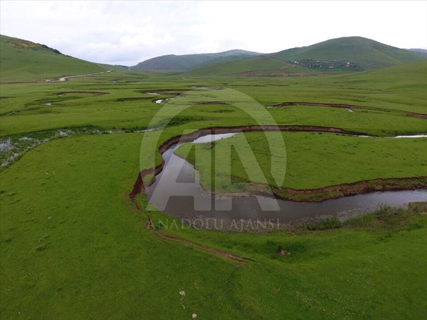Menderesleriyle ünlü yayla büyülüyor