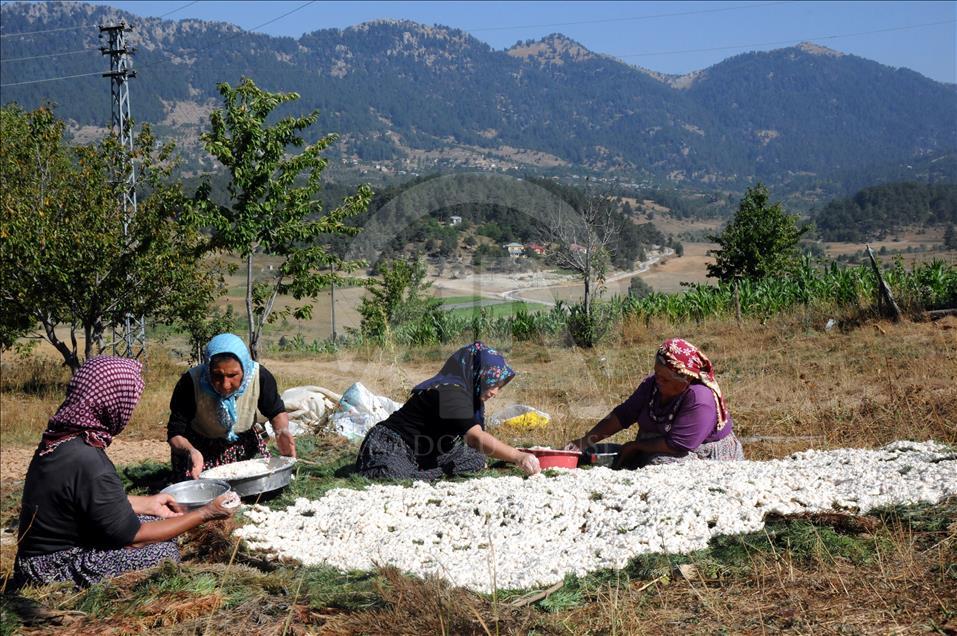 Çukurovalı kadınların tarhana mesaisi başladı