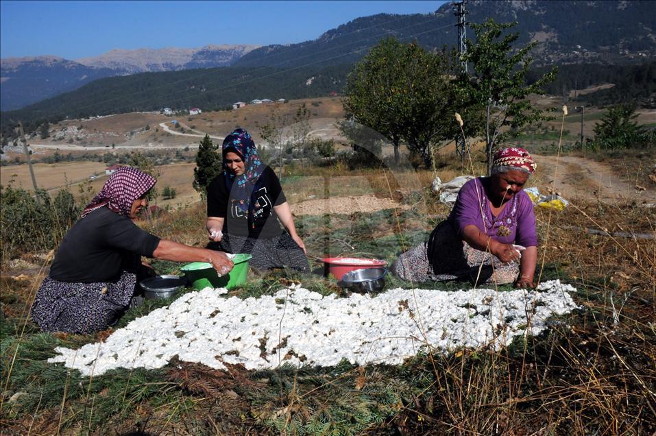 Çukurovalı kadınların tarhana mesaisi başladı