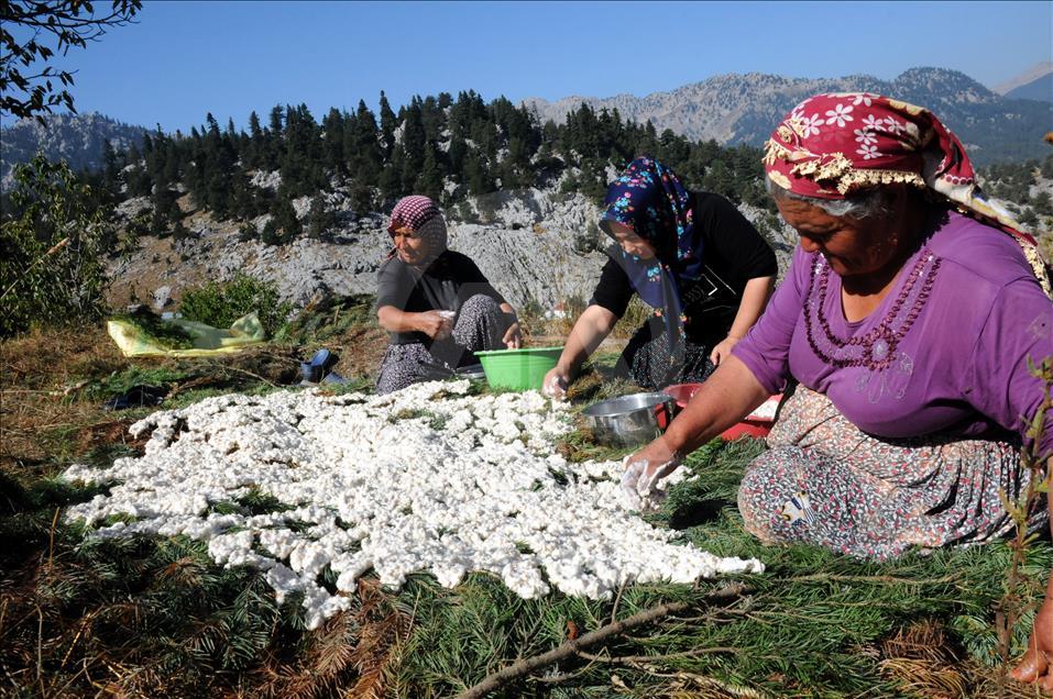 Çukurovalı kadınların tarhana mesaisi başladı