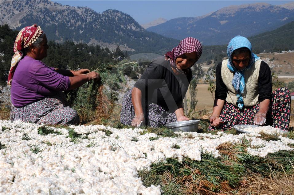 Çukurovalı kadınların tarhana mesaisi başladı