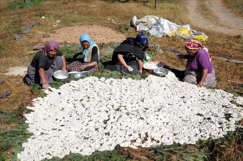 Çukurovalı kadınların tarhana mesaisi başladı