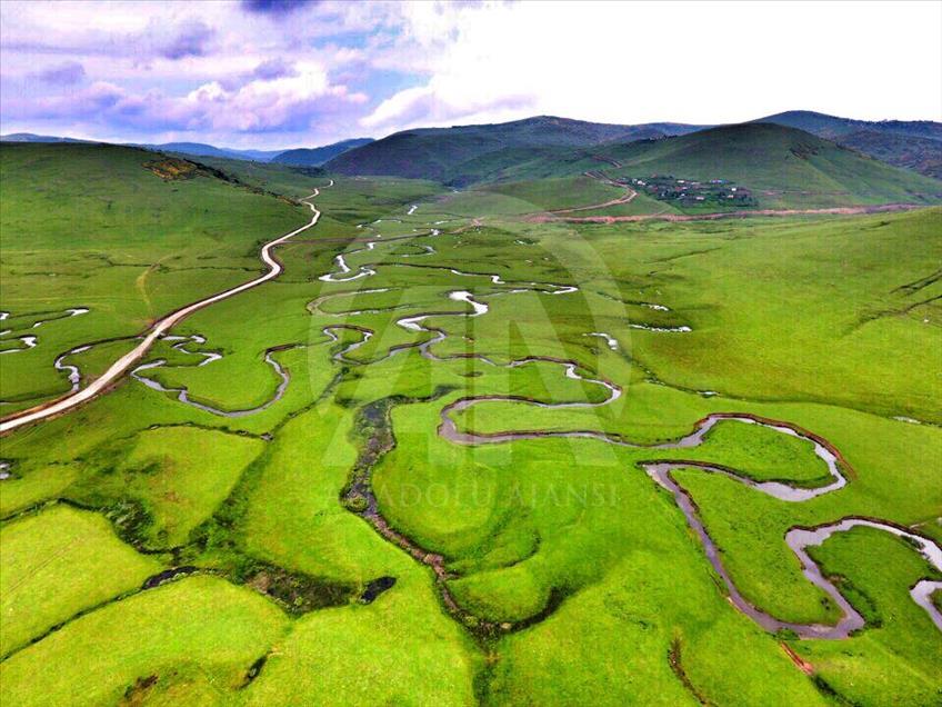 Menderesleriyle ünlü yayla büyülüyor