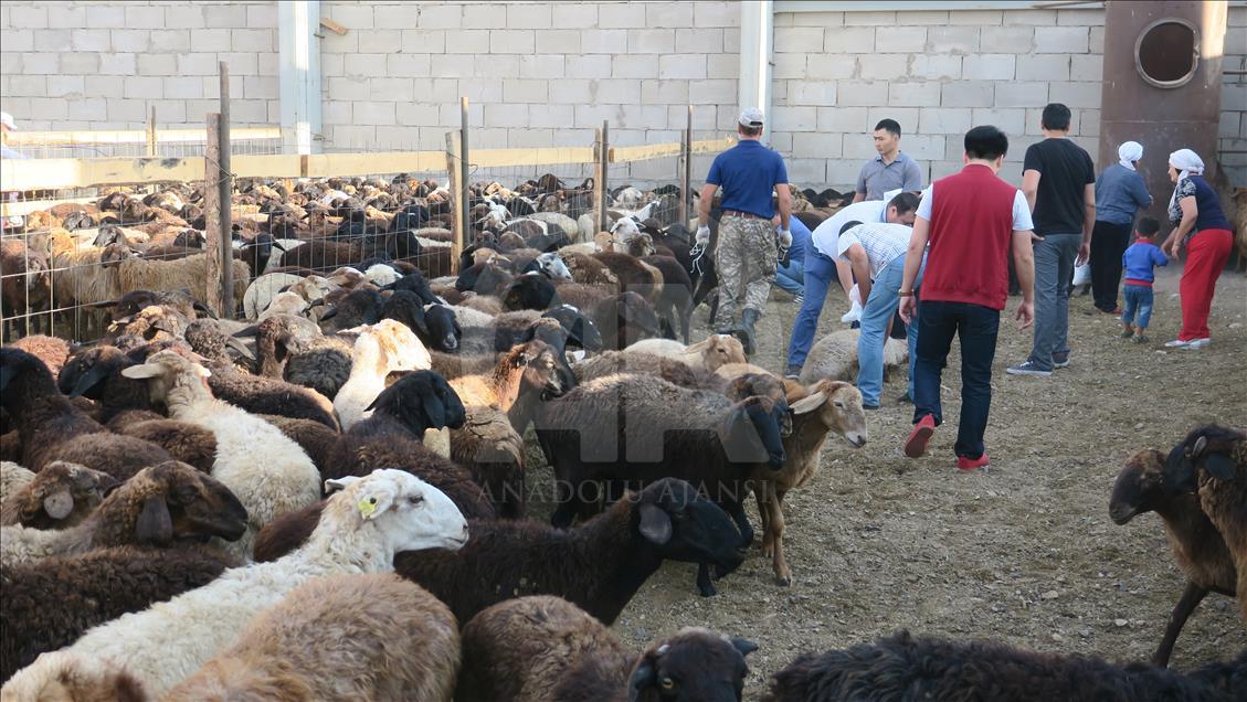 Kazakistan'da Kurban Bayramı