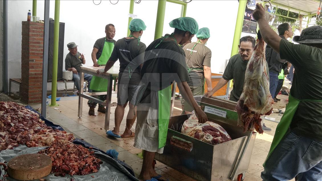 Memantau kesehatan daging kurban
