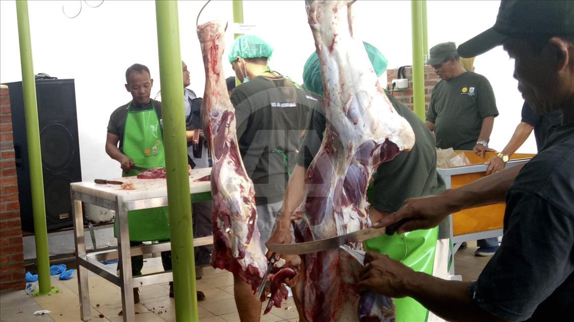 Memantau kesehatan daging kurban