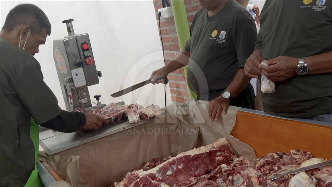 Memantau kesehatan daging kurban
