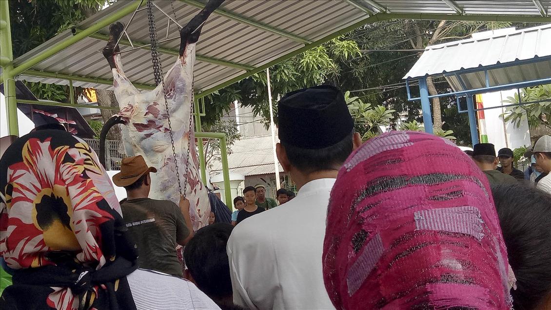 Memantau kesehatan daging kurban