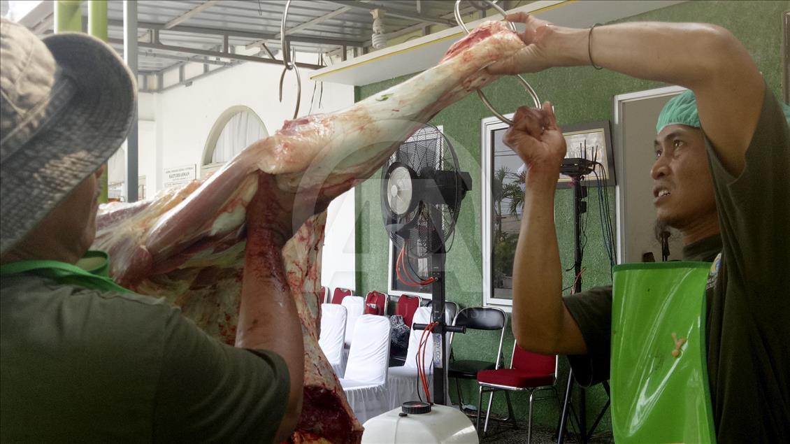 Memantau kesehatan daging kurban
