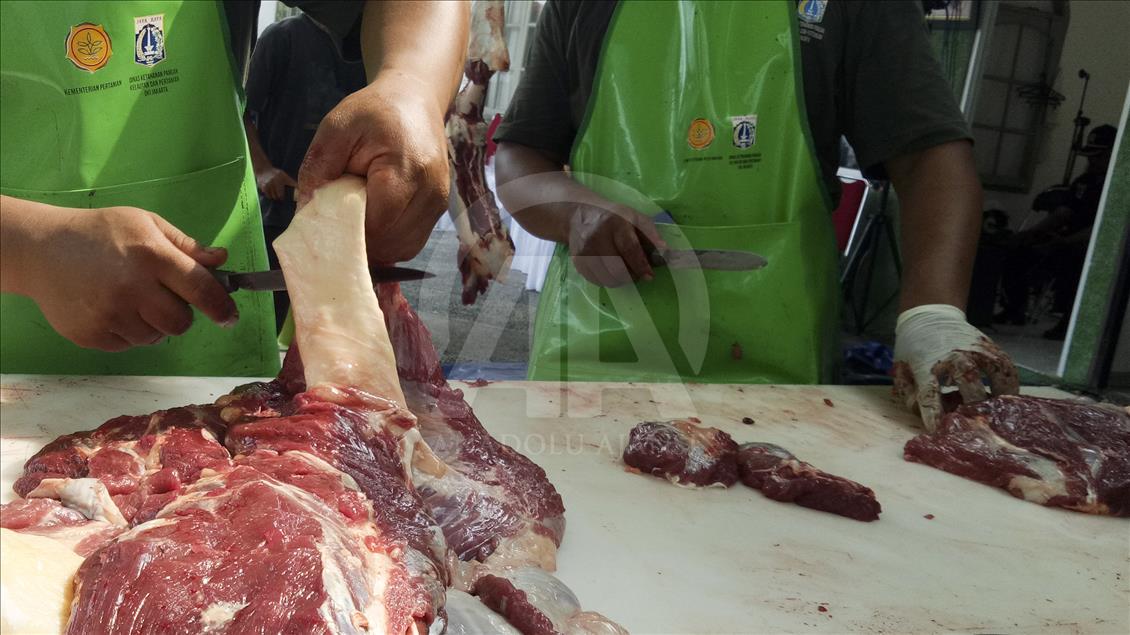 Memantau kesehatan daging kurban