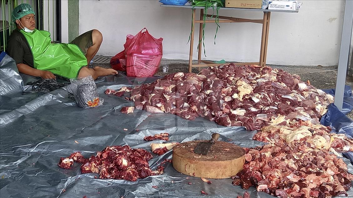 Memantau kesehatan daging kurban