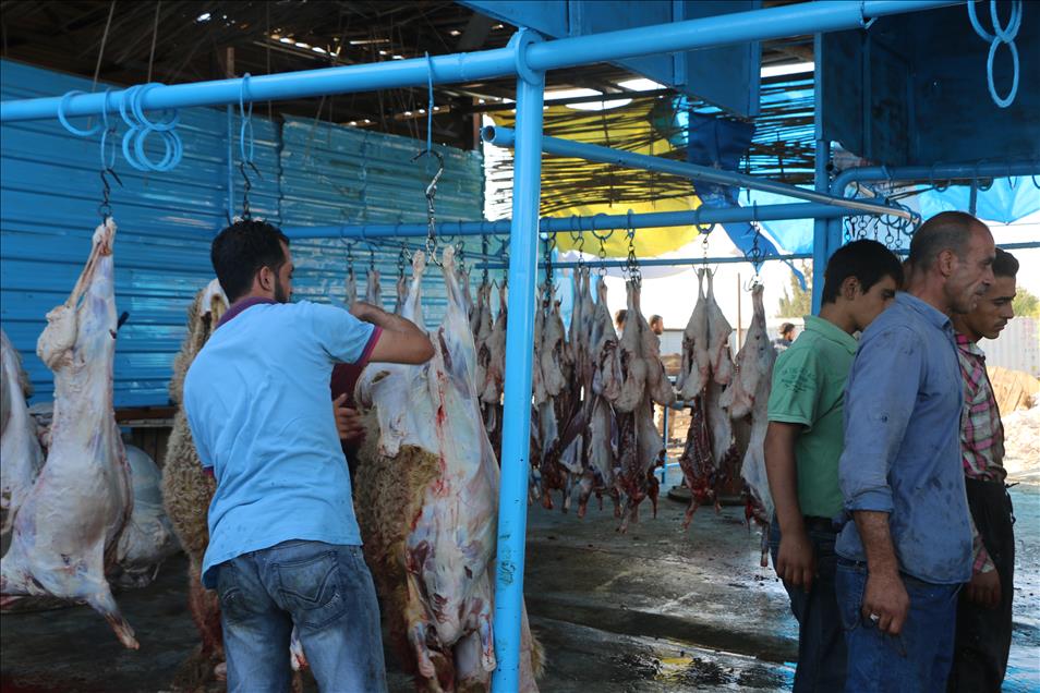 Suriye'de Kurban Bayramı