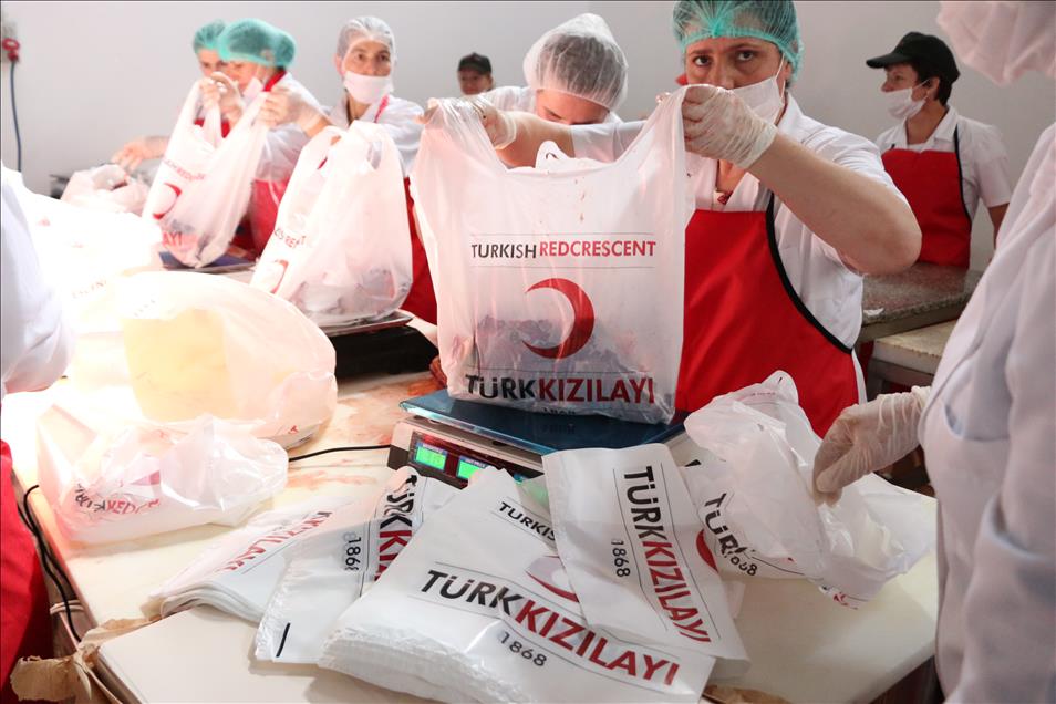 Türk Kızılayı'nın Kosova ve Arnavutluk'ta kurban organizasyonu
