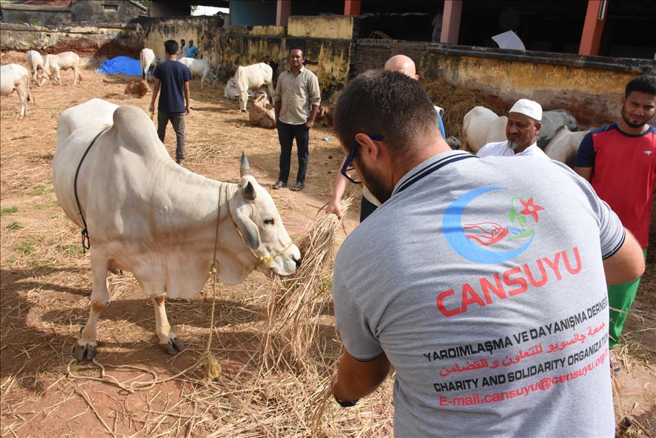 Cansuyu Hindistan'da Kurban Bayramı'na hazır