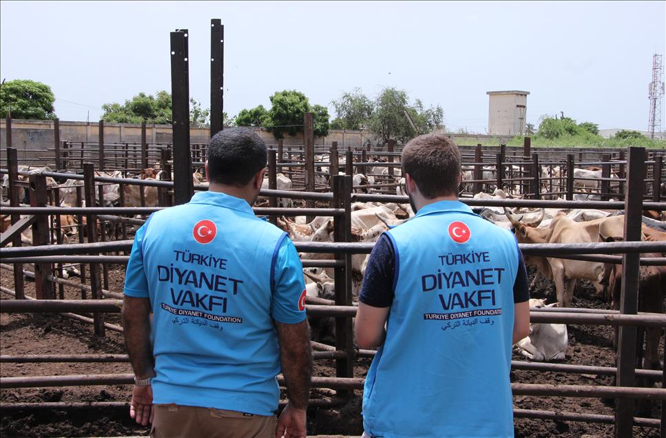 TDV'den Senegal'de 75 bin aileye kurban eti