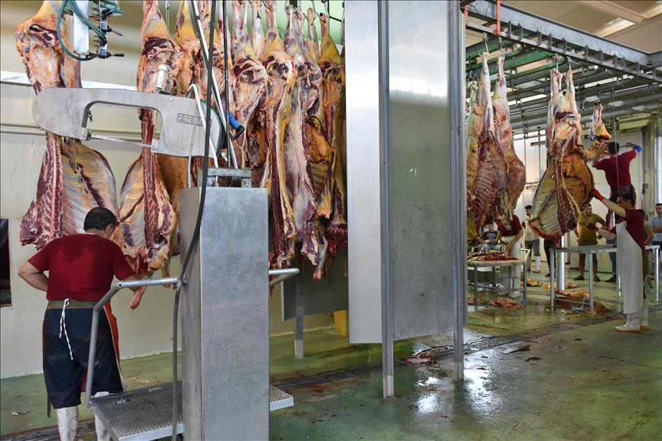 Türkiye Diyanet Vakfı'ndan Kerkük'te kurban yardımı
