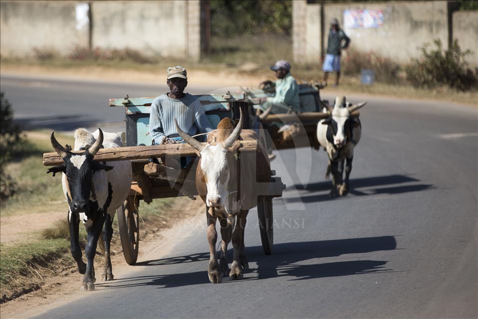 Madagaskar'da yaşam