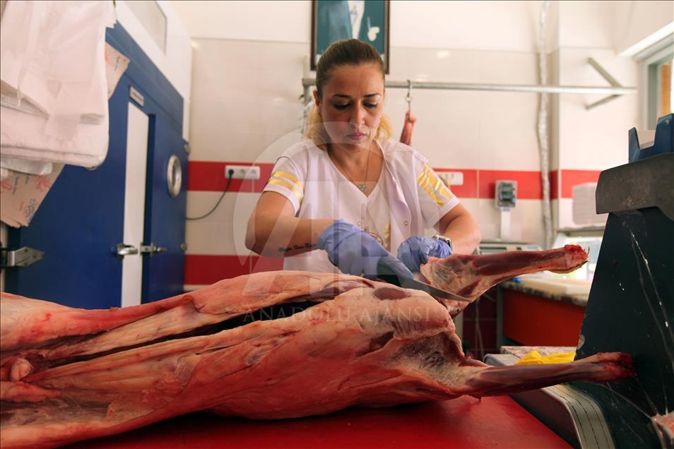 Samsunlu kadınların et ürünleri "kasap Gülten"den