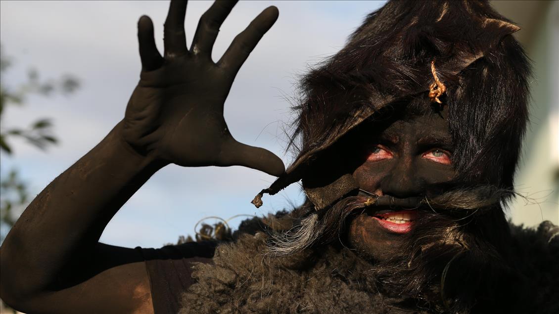 Yetuk, tukli, semiz eshaklarning fotosuratlari