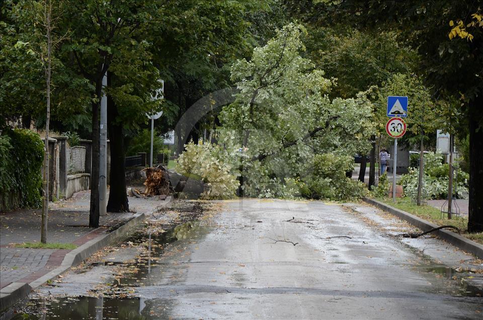 Snažan vjetar po Mostaru lomio stabla i blokirao prometnice