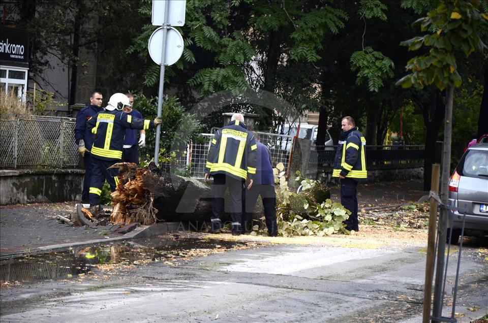 Snažan vjetar po Mostaru lomio stabla i blokirao prometnice