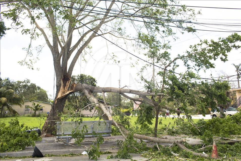 ABD'de Irma kasırgası
