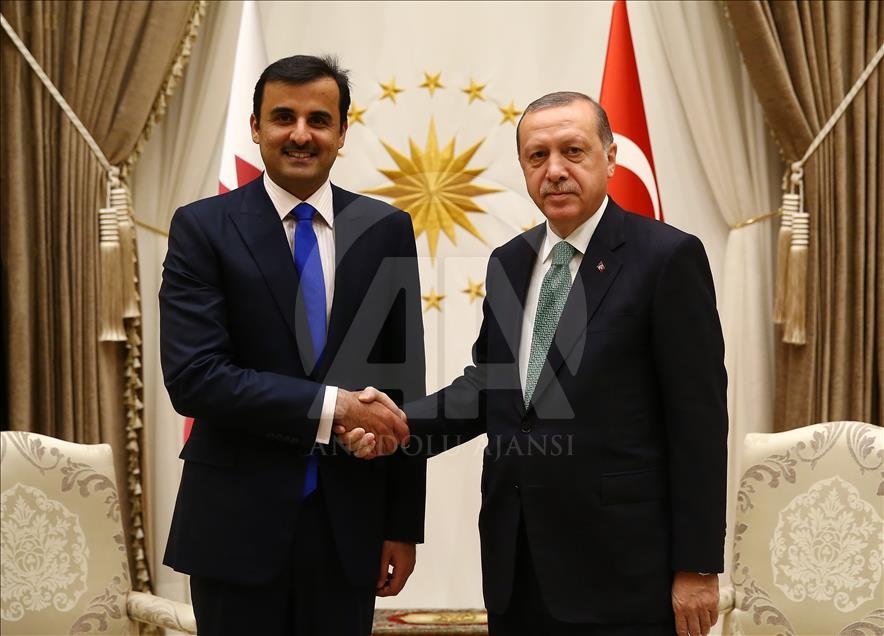 أردوغان يستقبل أمير دولة قطر في أنقرة
