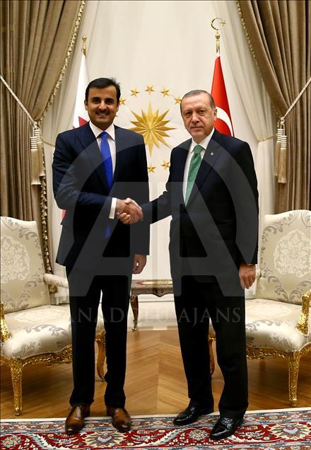 أردوغان يستقبل أمير دولة قطر في أنقرة

