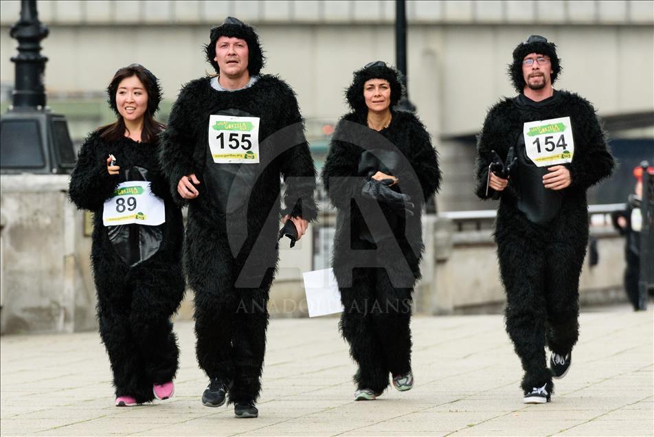 London, United KIngdom - September 16: 'The Great Gorilla Run’ in London
