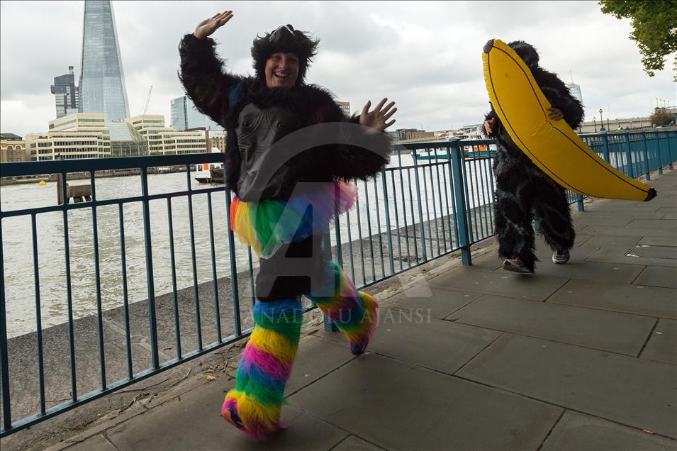 London, United KIngdom - September 16: 'The Great Gorilla Run’ in London