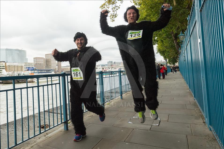 London, United KIngdom - September 16: 'The Great Gorilla Run’ in London
