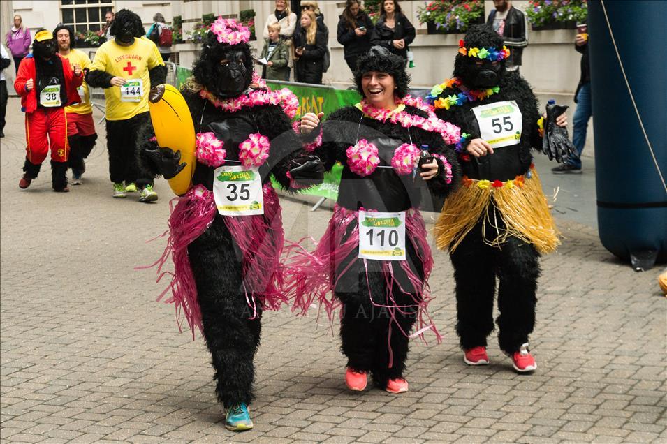 London, United KIngdom - September 16: 'The Great Gorilla Run’ in London