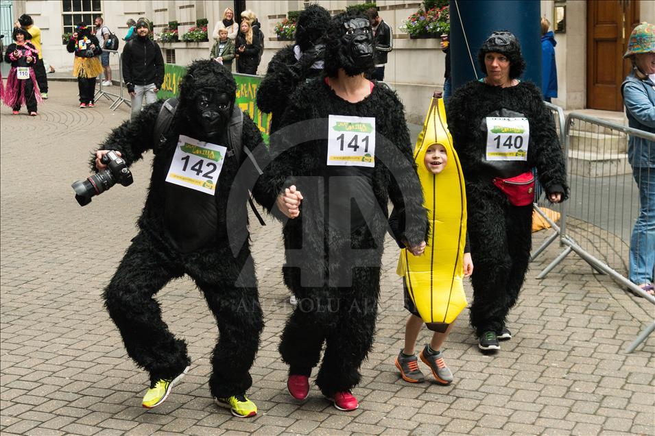 London, United KIngdom - September 16: 'The Great Gorilla Run’ in London