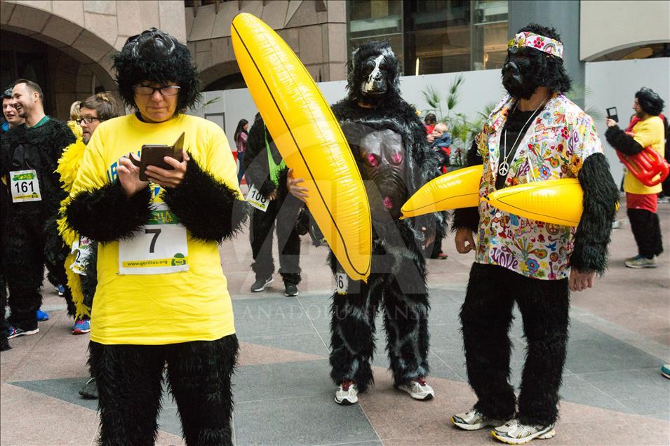 London, United KIngdom - September 16: 'The Great Gorilla Run’ in London