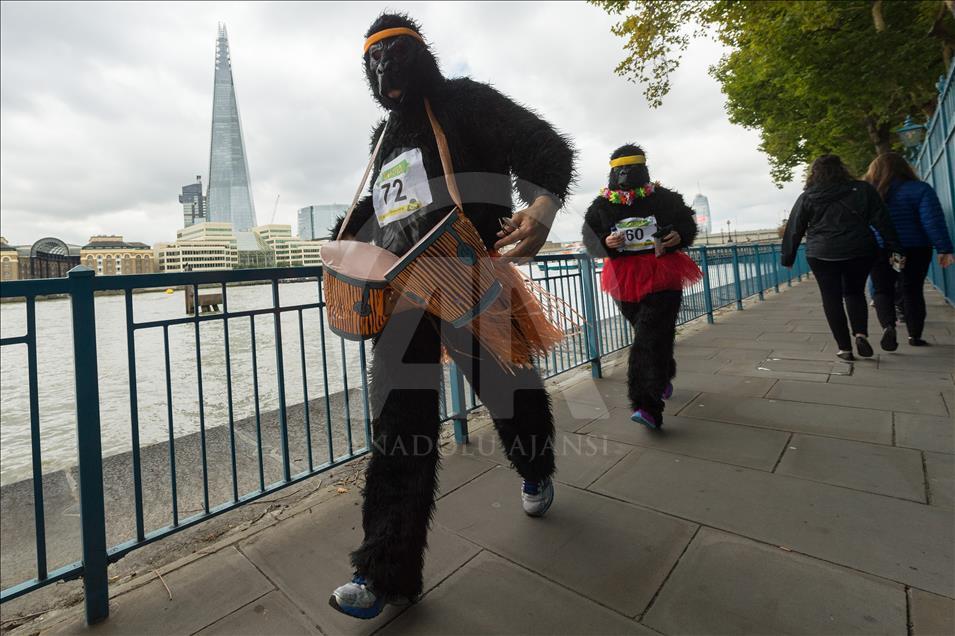 London, United KIngdom - September 16: 'The Great Gorilla Run’ in London