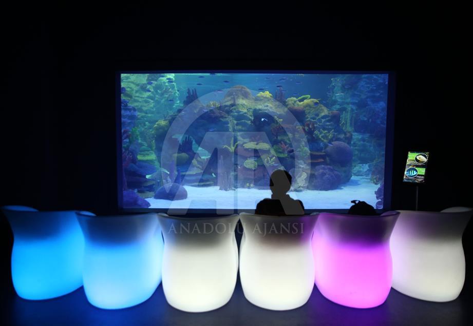 Un Aquarium à Istanbul renferme 20 mille animaux marins