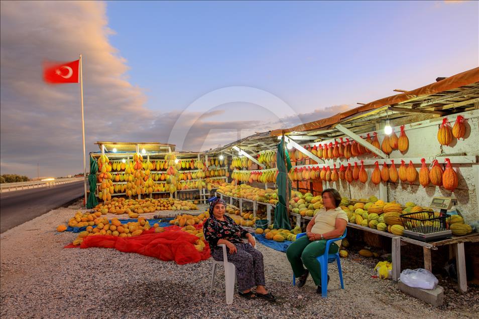 Kirkagac melons' process in Manisa province
