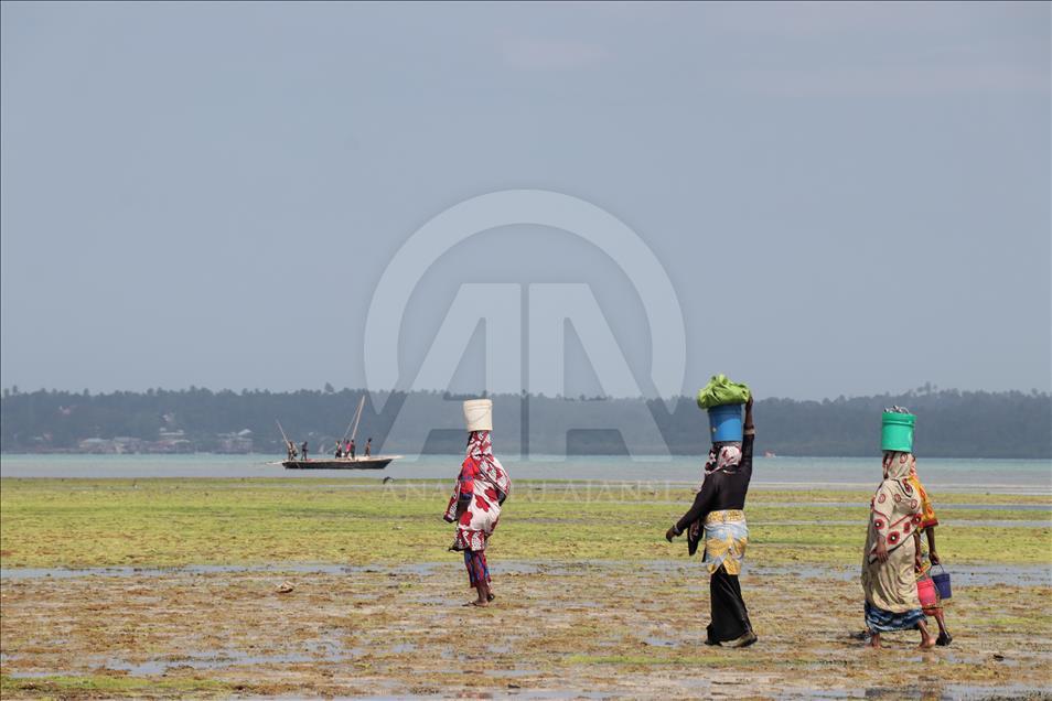 Life in Zanzibar