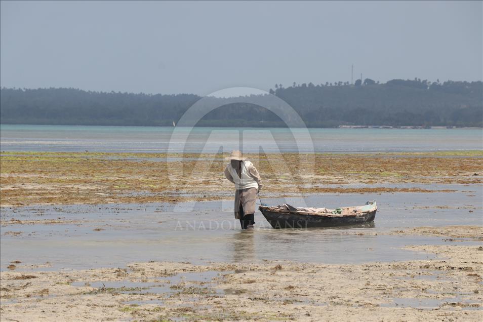 Life in Zanzibar