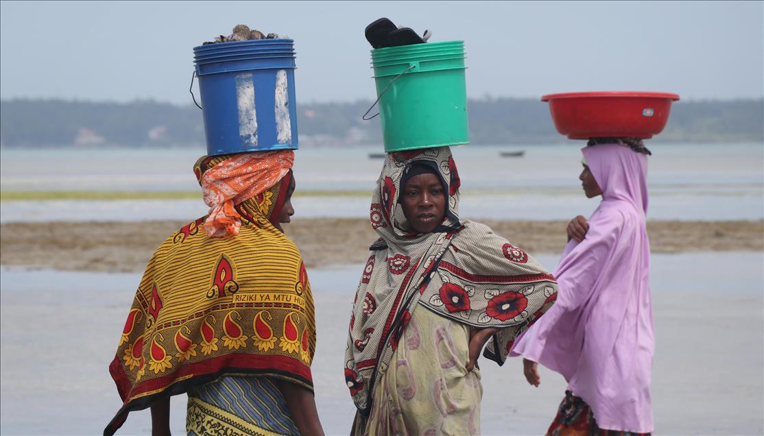 Life in Zanzibar - Anadolu Ajansı