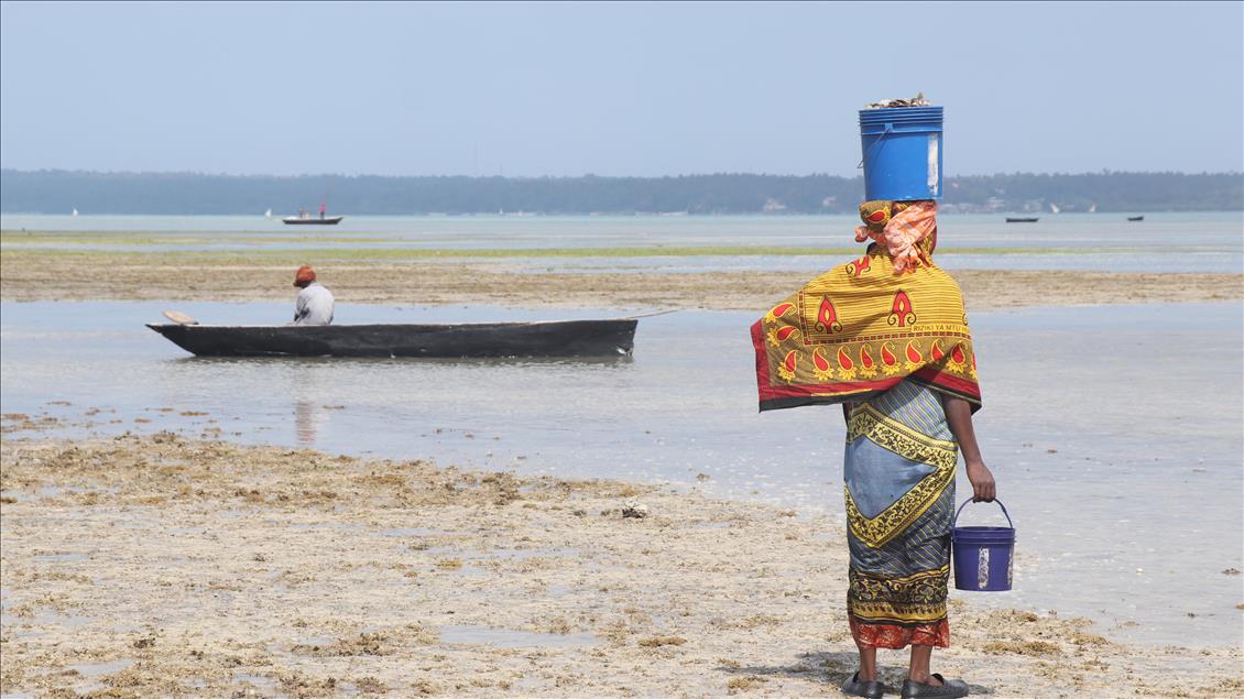 Doğası zengin, halkı yoksul ada: Zanzibar