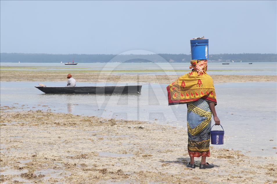 Life in Zanzibar